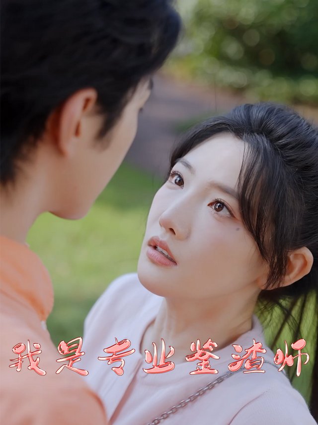 我是专业鉴渣师封面