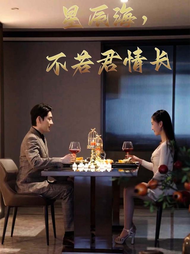 星辰海,不若君情长封面