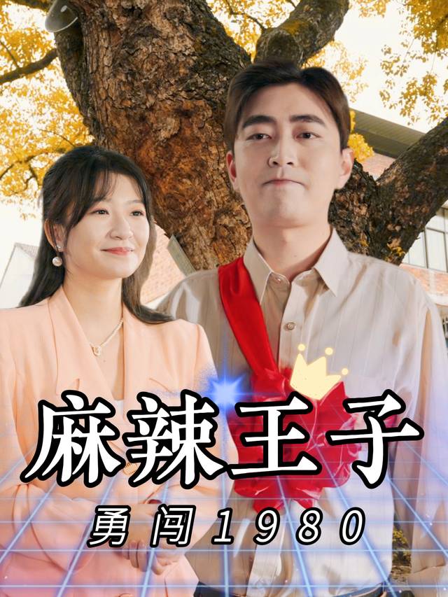 麻辣王子勇闯1980封面