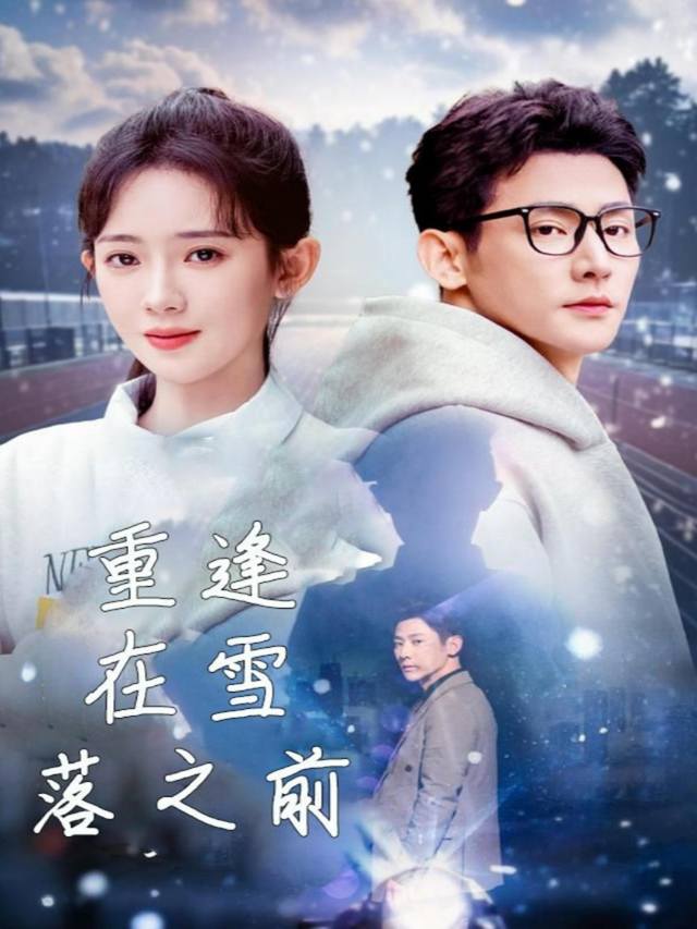 重逢在雪落之前封面