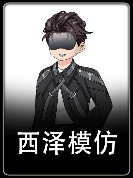 西泽模仿封面