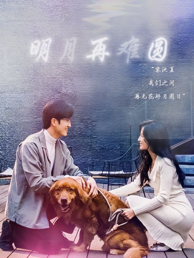明月再难圆封面