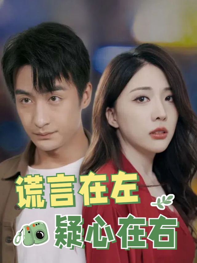 谎言在左疑心在右封面