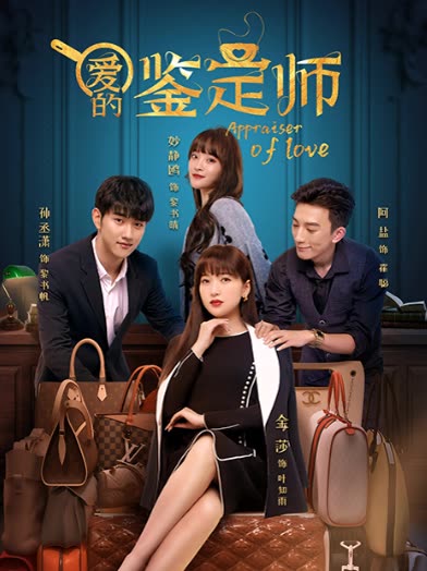 爱的鉴定师封面