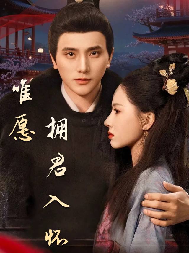 唯愿拥君入怀封面