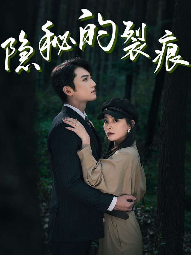 隐秘的裂痕封面