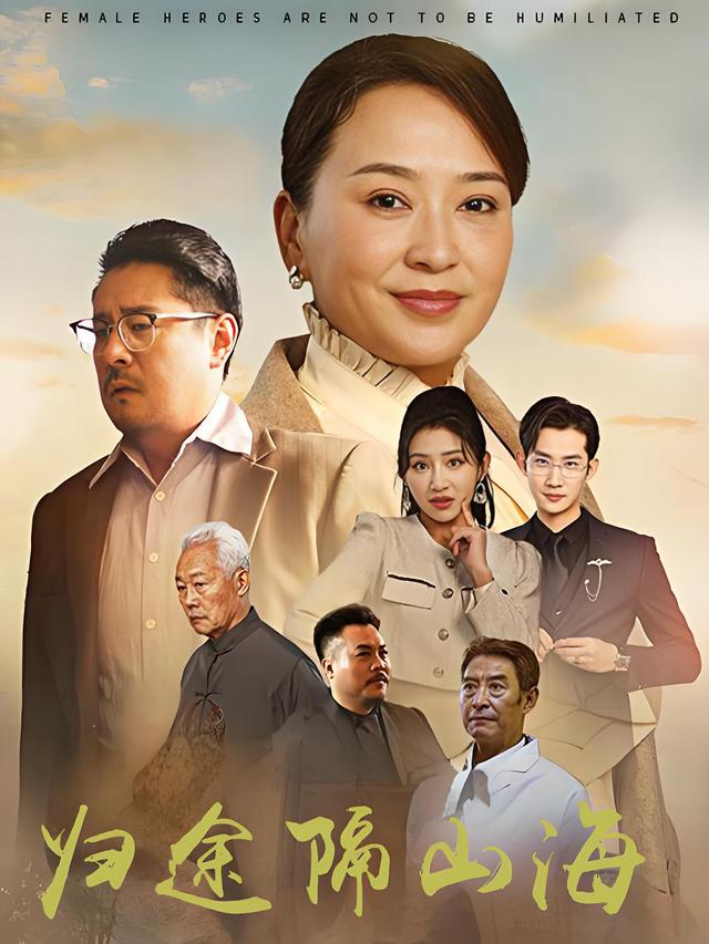 归途隔山海封面