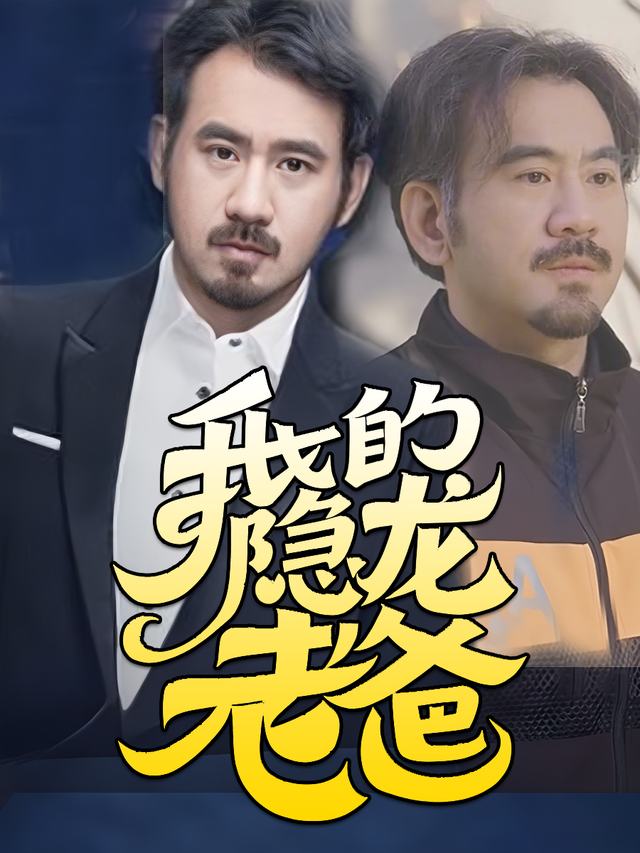 我的隐龙老爸封面