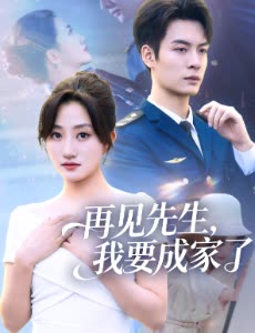 再见先生,我要成家了封面