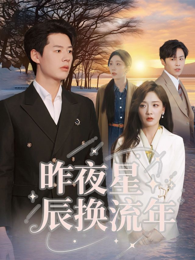 昨夜星辰换流年封面