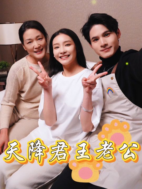 天降君王老公封面