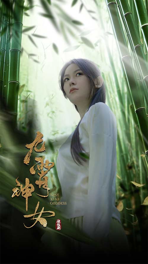 九霄神女封面