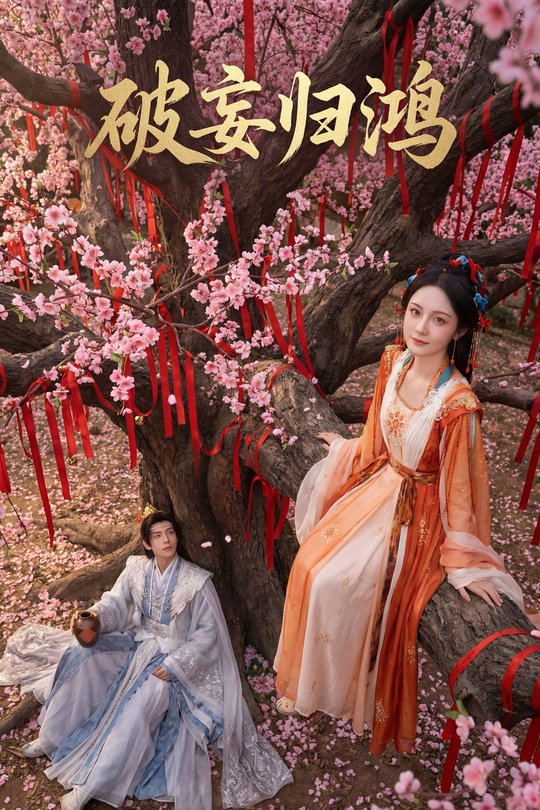 破妄归鸿封面