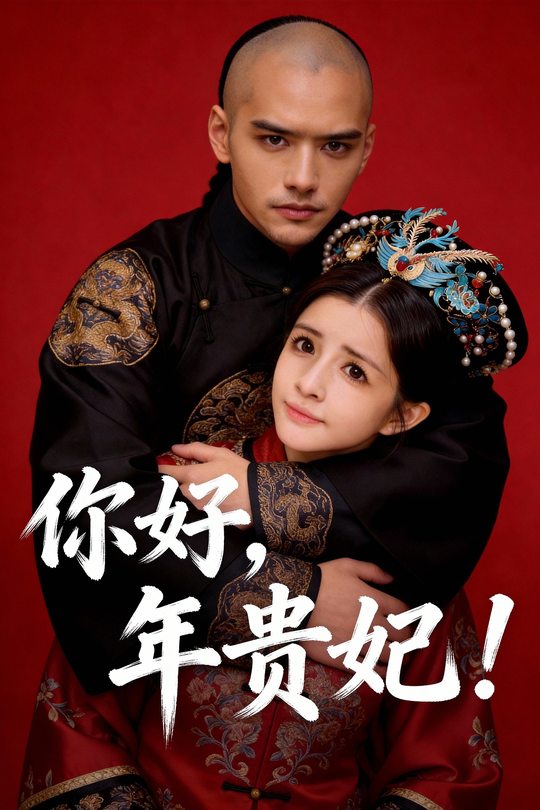 你好,年贵妃!封面