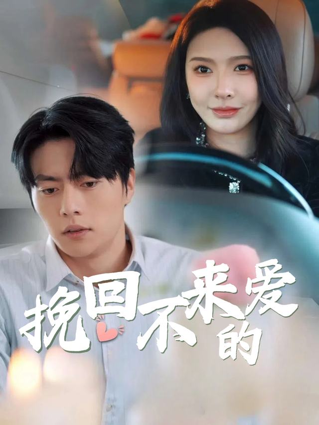 挽回不来的爱封面