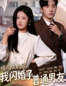 婚礼失约后,我闪婚了普通男友封面