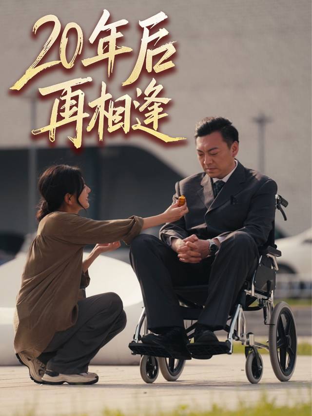 20年后再相逢封面