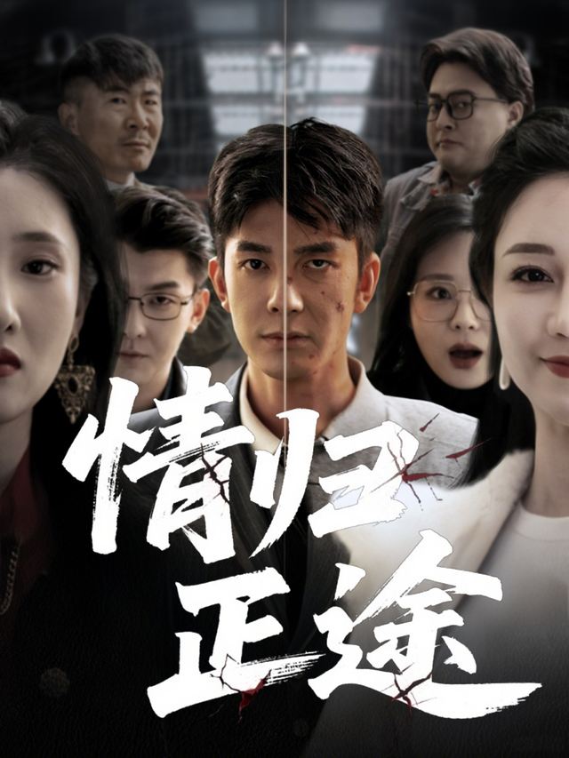 情归正途封面