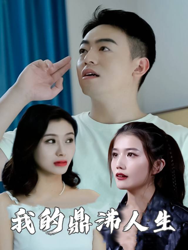 我的鼎沸人生封面