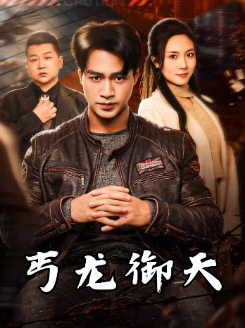 丐龙御天封面