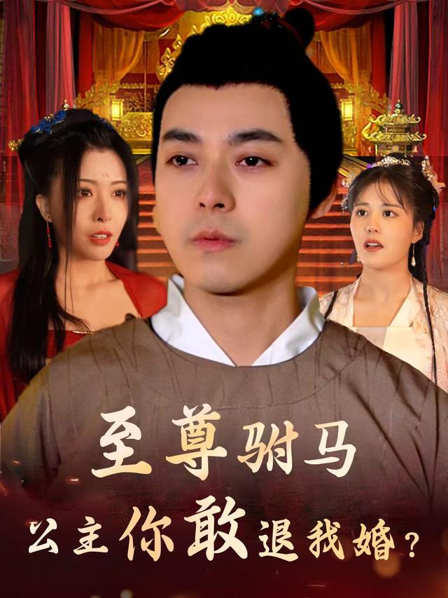 至尊驸马公主你敢退我婚封面