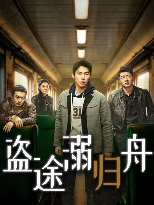 盗途溺归舟封面
