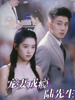 宠妻成瘾陆先生封面