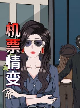 机票情变封面