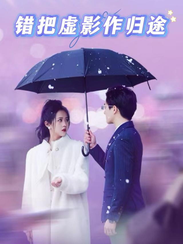 错把虚影作归途封面