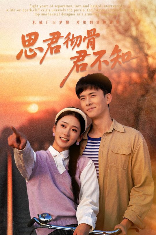 思君彻骨君不知封面