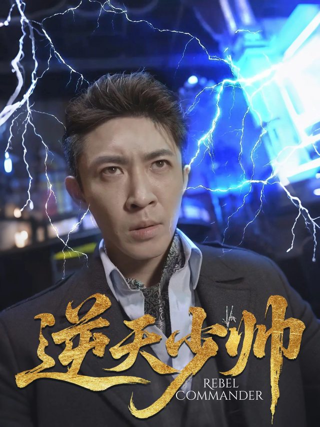 逆天少帅封面