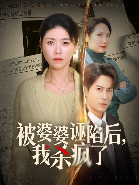 被婆婆诬陷后,我杀疯了封面