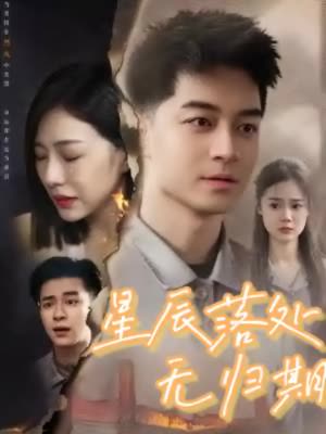 星辰落处无归期封面