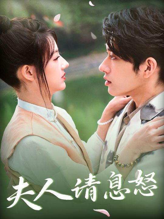 夫人请息怒封面