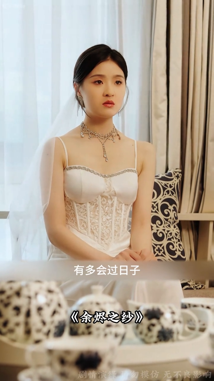 余烬之纱封面