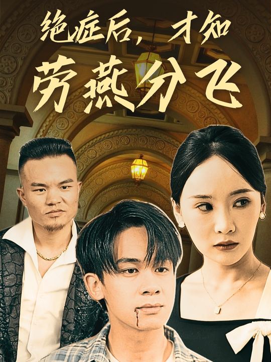 绝症后,才知劳燕分飞封面