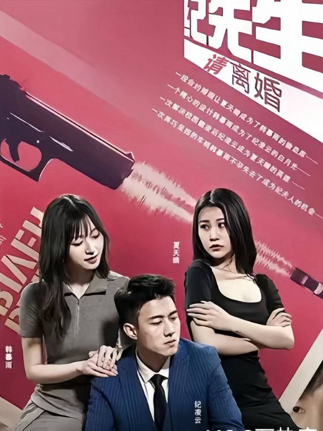 纪先生请离婚封面