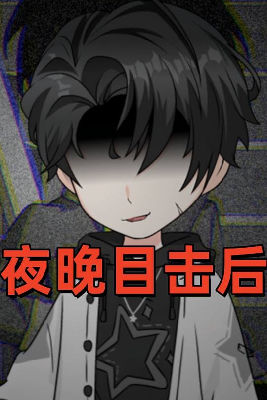 夜晚目击后封面