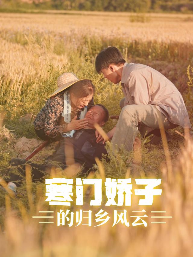 寒门骄子的归乡风云封面