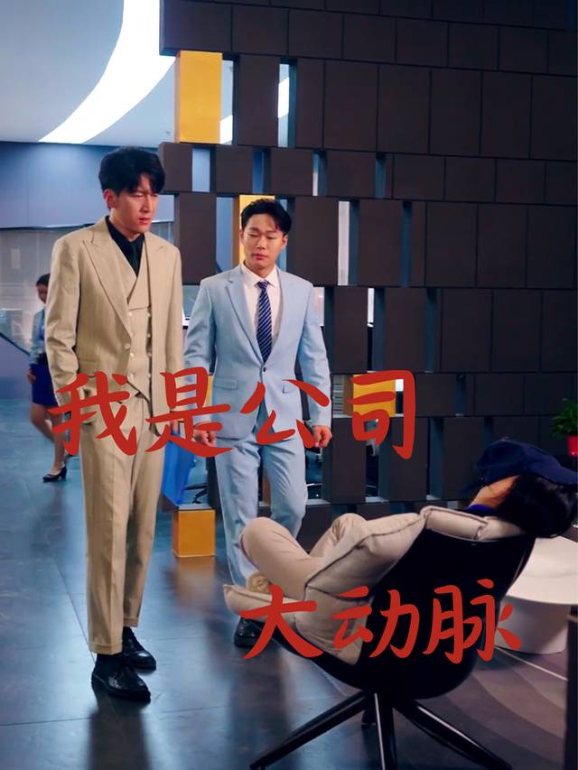 我是公司大动脉封面
