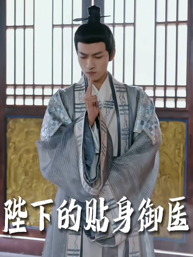 陛下的贴身御医封面