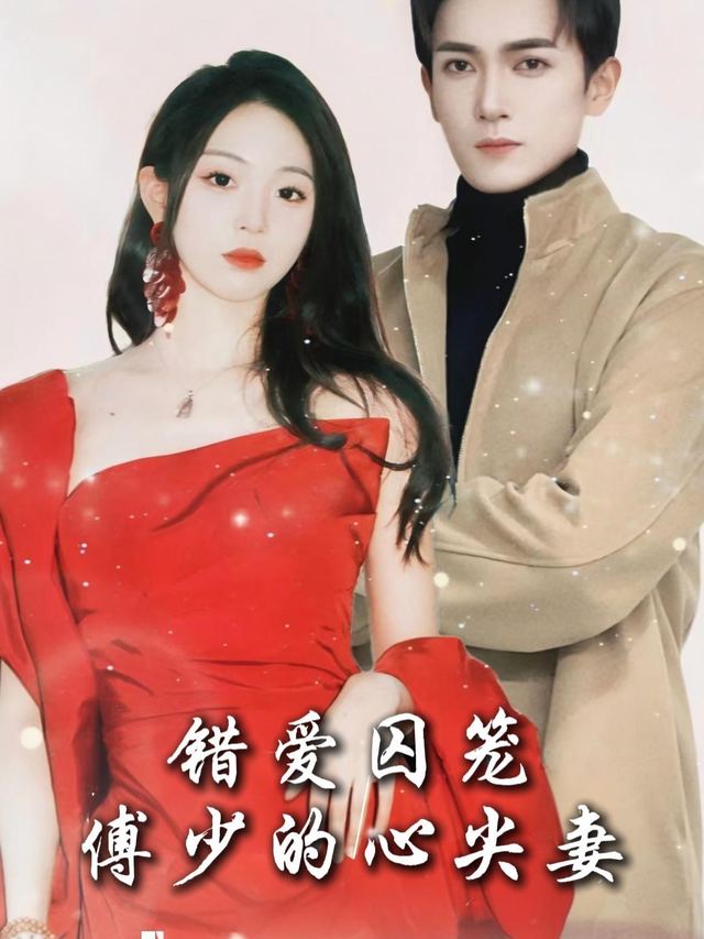 错爱囚笼,傅少的心尖妻封面