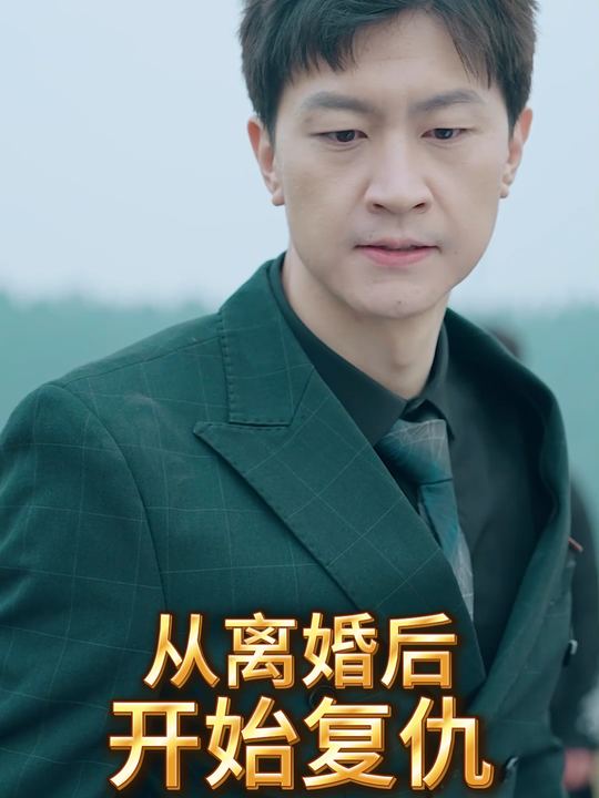 从离婚后开始复仇封面