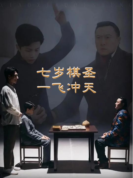 七岁棋圣一飞冲天封面