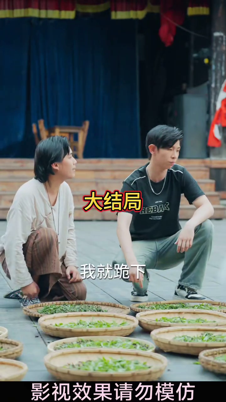 茶山侗月照少年封面