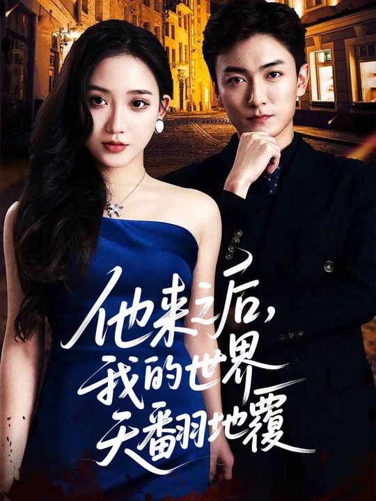 他来之后,我的世界天翻地覆封面