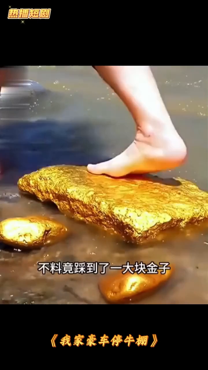 我家豪车停牛棚封面