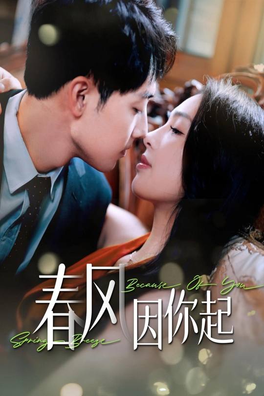 春风因你起封面