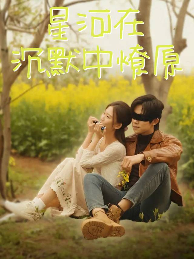 星河在沉默中燎原封面
