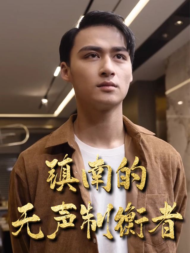 镇南的无声制衡者封面